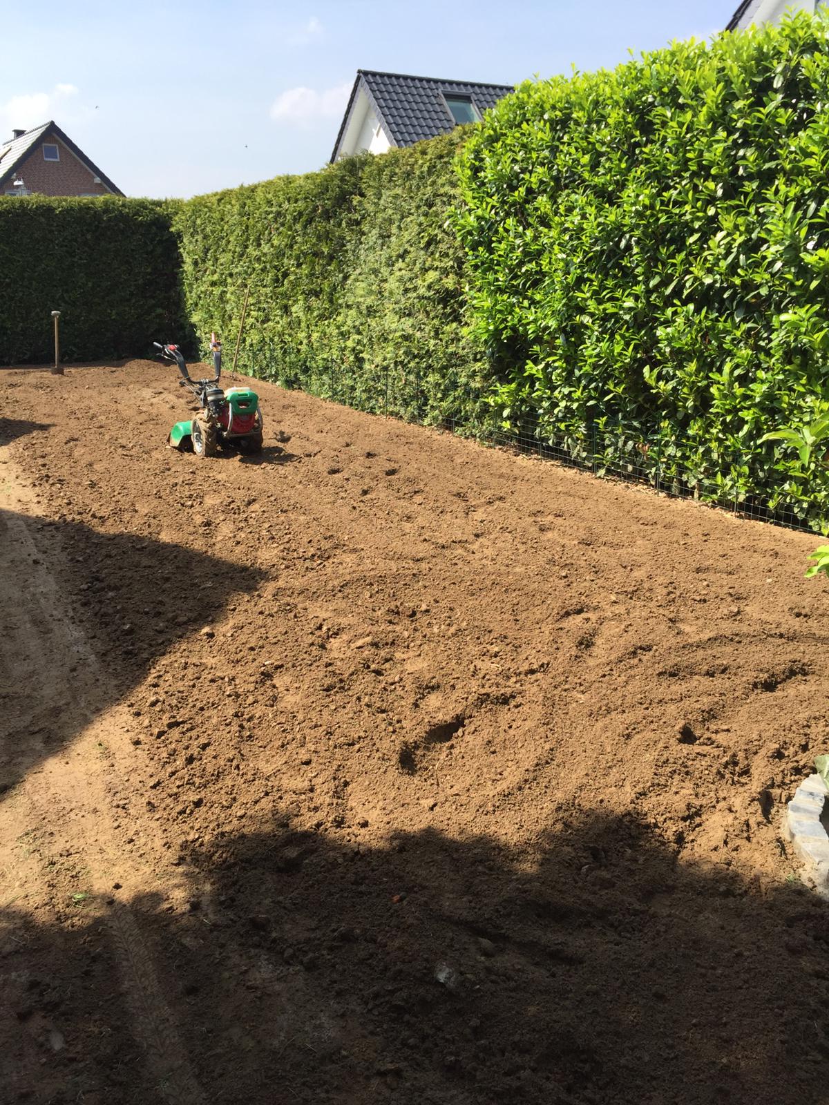 Der Boden in einem Garten wird mit einer Gartenfräse aufgelockert