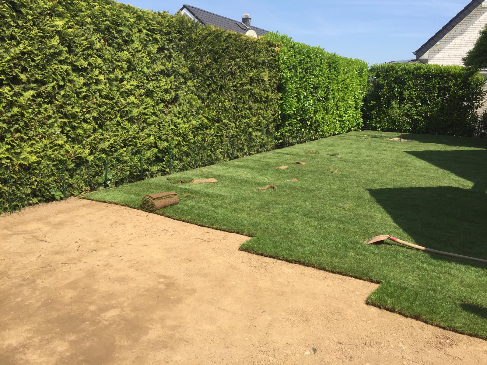 in einem Garten wird Rasen verlegt