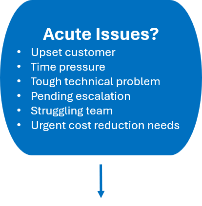 Do you have an acute issue or customer pain?