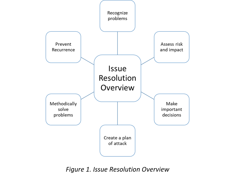 Overview of issue resolution focus areas