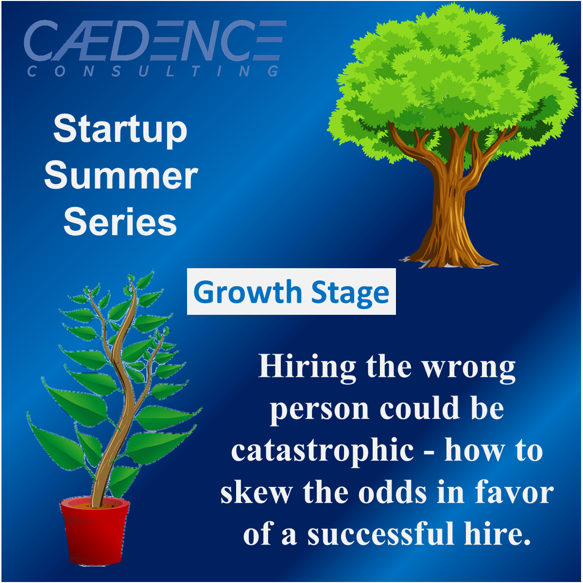 Start up series advice