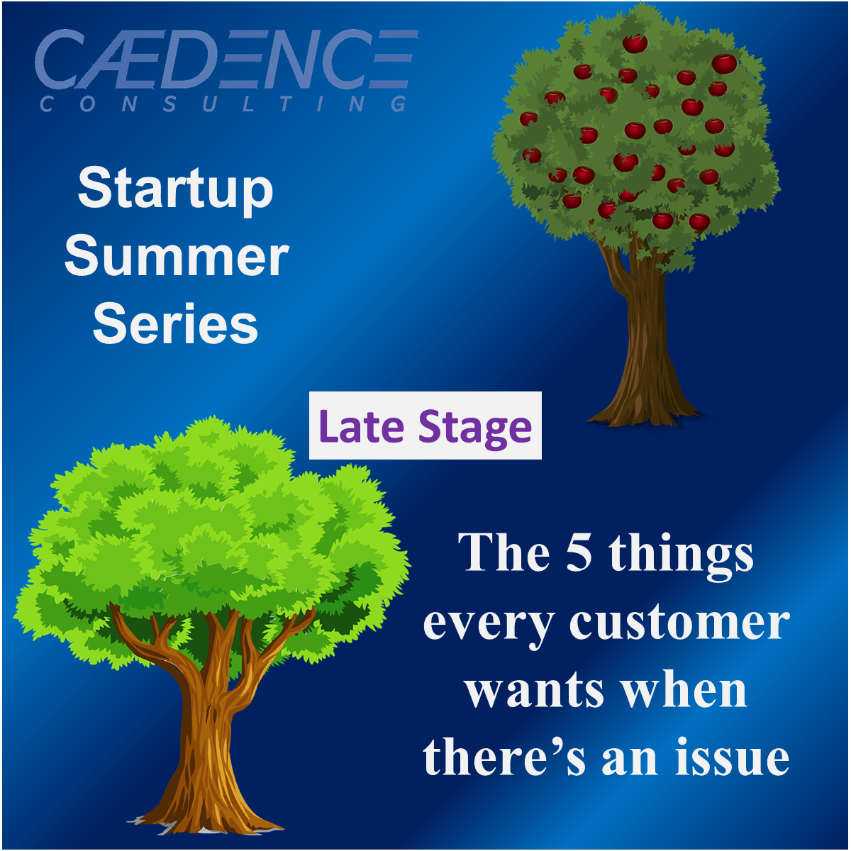 Start up series advice