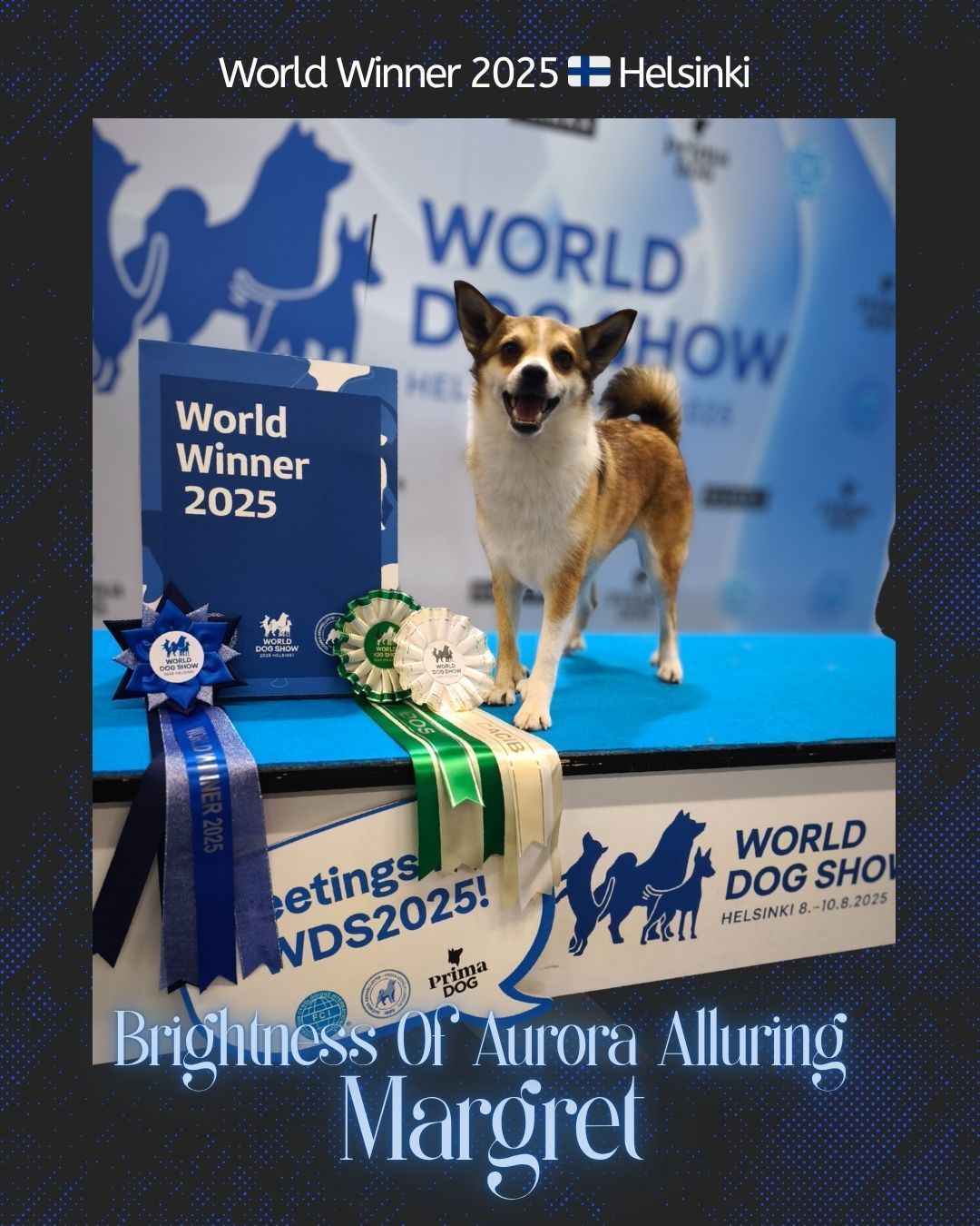 WORLD WINNER 2025
WDS Helsinki
Brightness of Aurora Alluring Margret