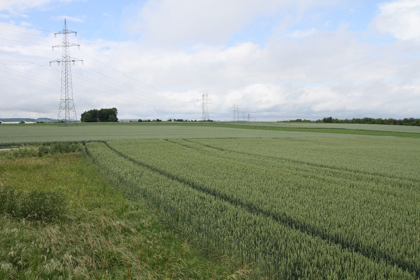 Noch Äcker im Bereich des geplanten Gewerbeschwerpunktes