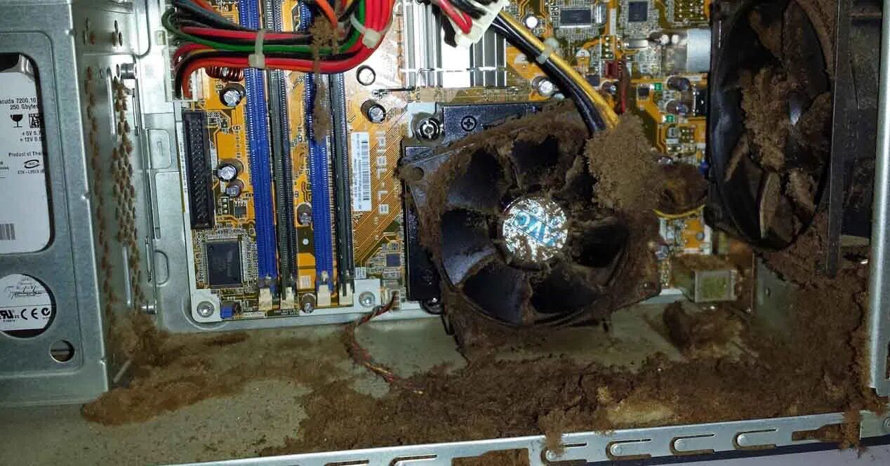 Reparacion de Computadoras afectadas por Tormenta Hanna en Monterrey