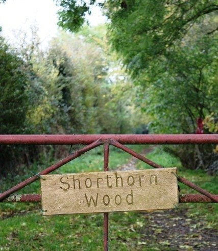Sign at Shorthorn Wood