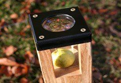 Image of apple in wooden holder