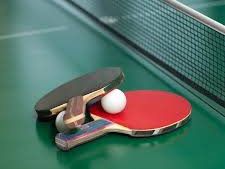 Table Tennis Bats