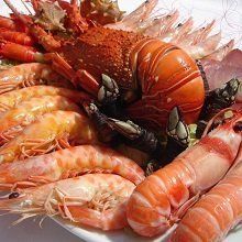 envío de perecederos transporte aéreo a Colombia