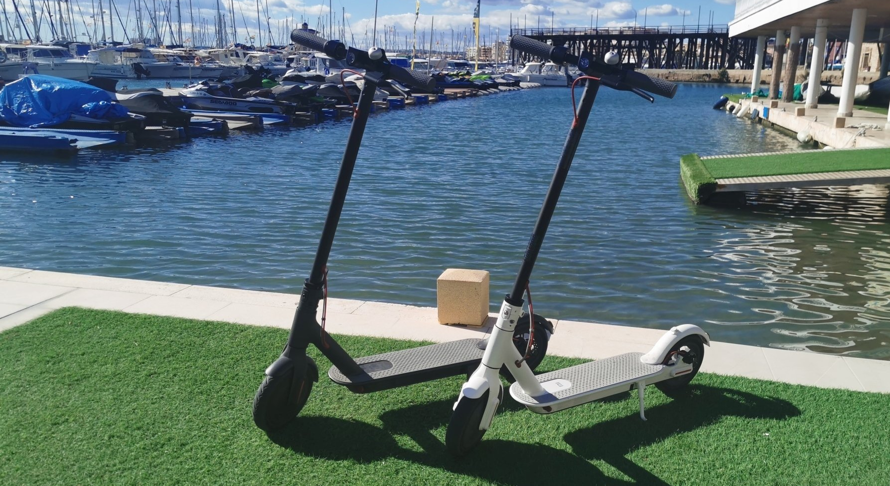 Pesca Turismo Torrevieja