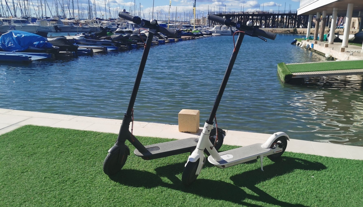 Pesca Turismo Torrevieja