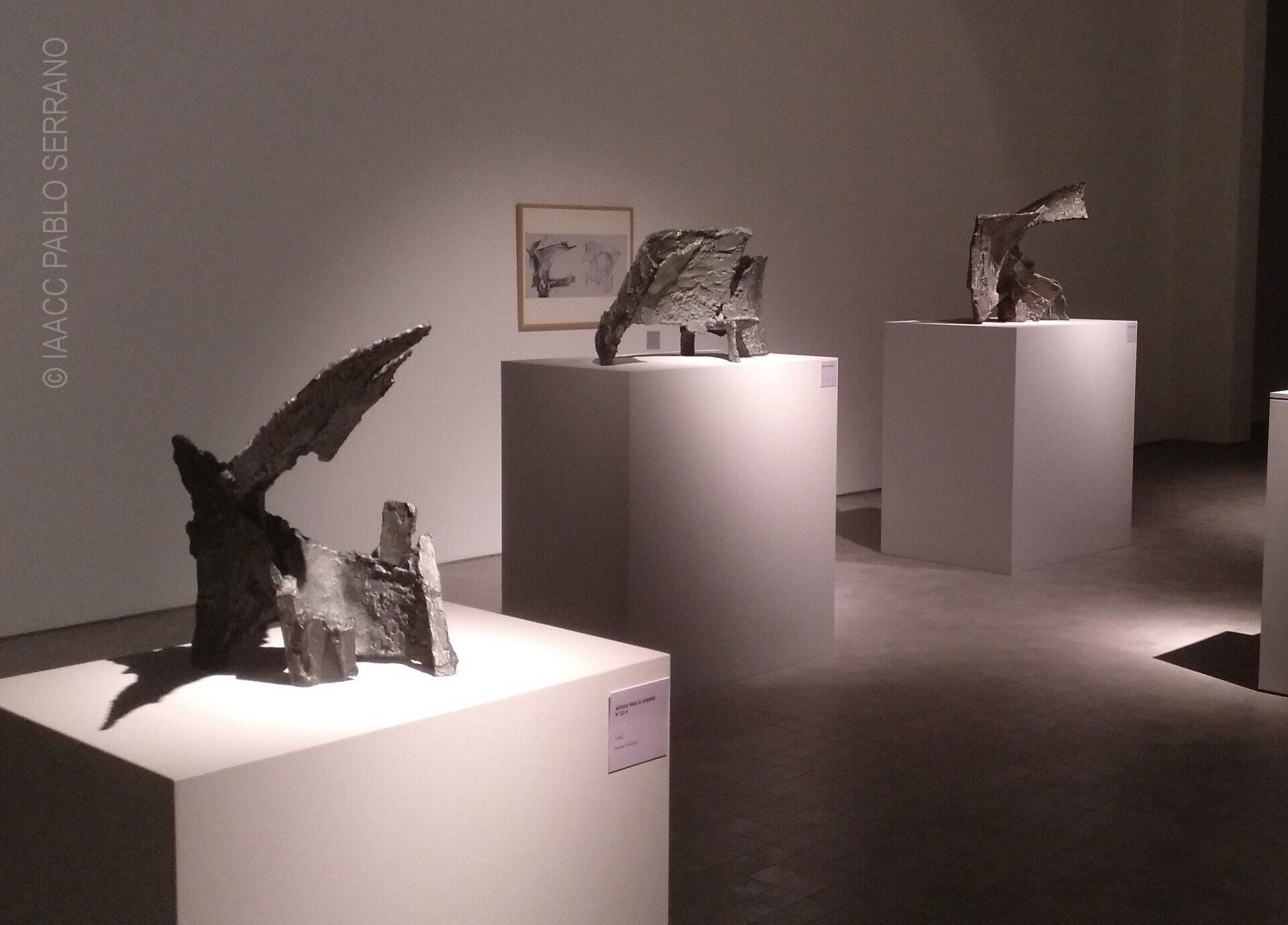 © IAACC Pablo Serrano © IAACC Pablo Serrano