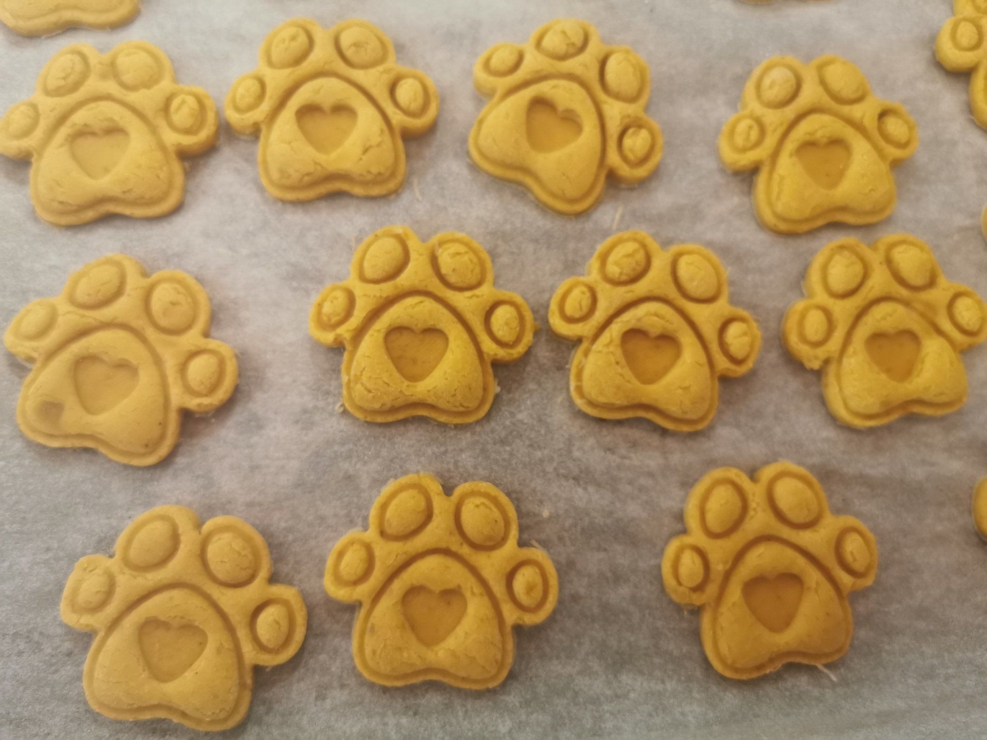 CBD dog cookies