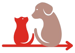 Compléments alimentaires naturels chiens & chats - Confort articulaire - Beauté du pelage - Vitalité - Hygiène bucco-dentaire