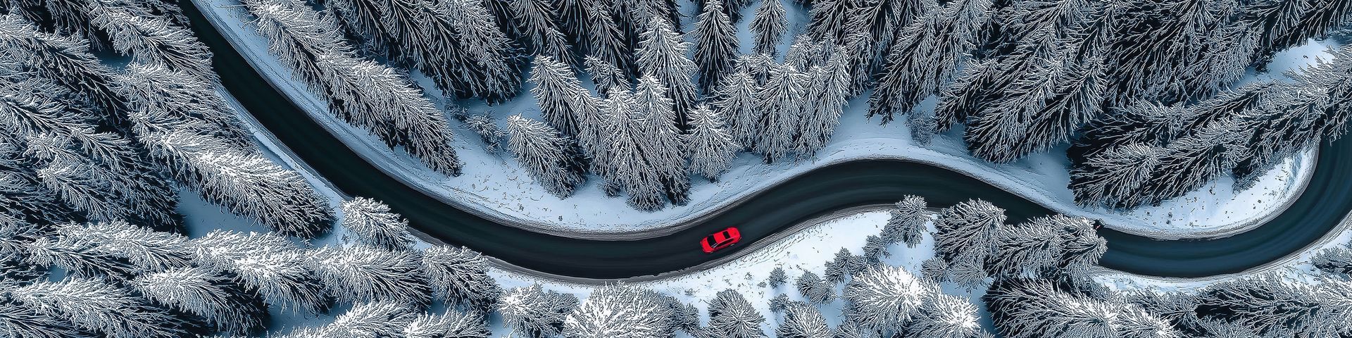 Wintercheck