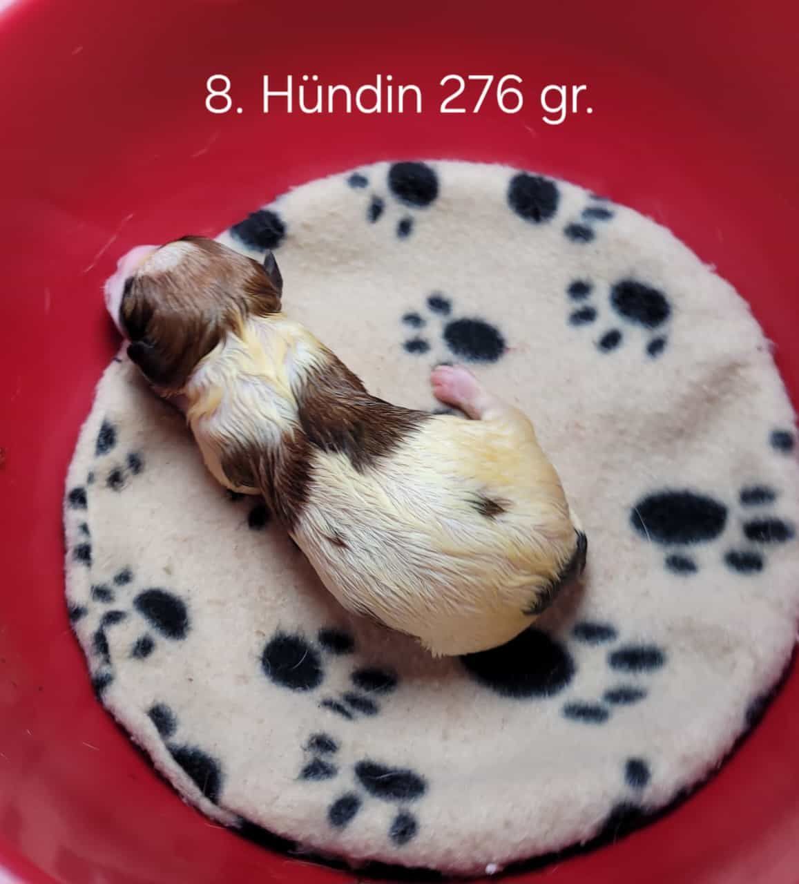 _____Brianna Brianna