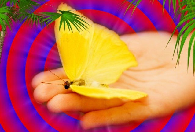 Charisme une technique irrésistible pour l'ascendant magnétique. Papillon sur la main.