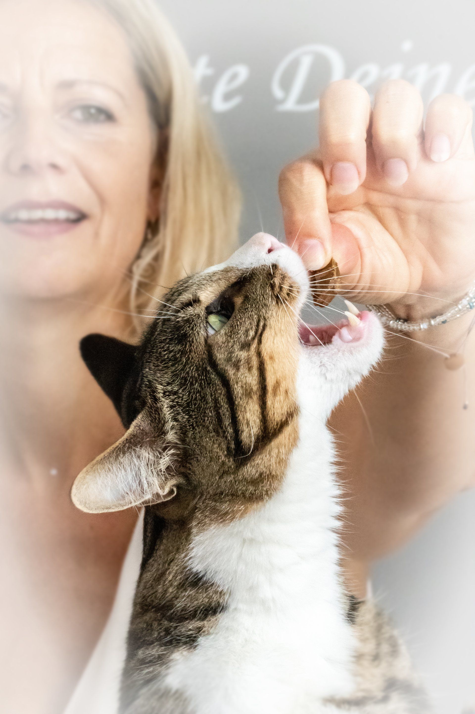 Copyright: katzennanny.com - Foto: Carmen S. Photography Copyright: Maria Habacht - katzennanny.com - Foto: Carmen S. Photography