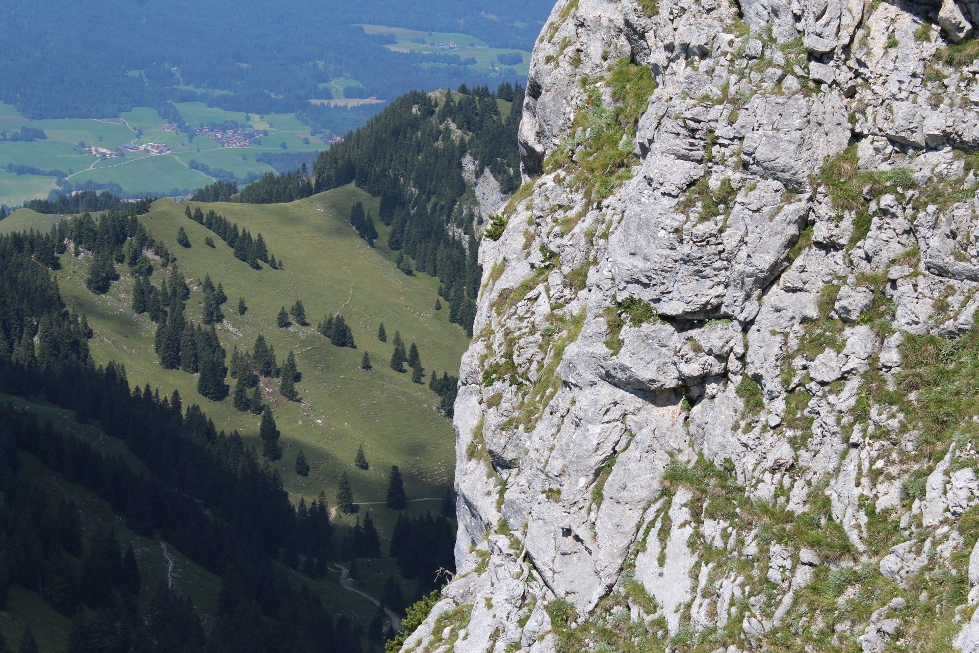 Merlins schamanische Lebensberatung: Naturerlebniswanderung