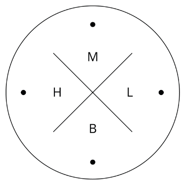 Conciergerie privée Paris-Maurice