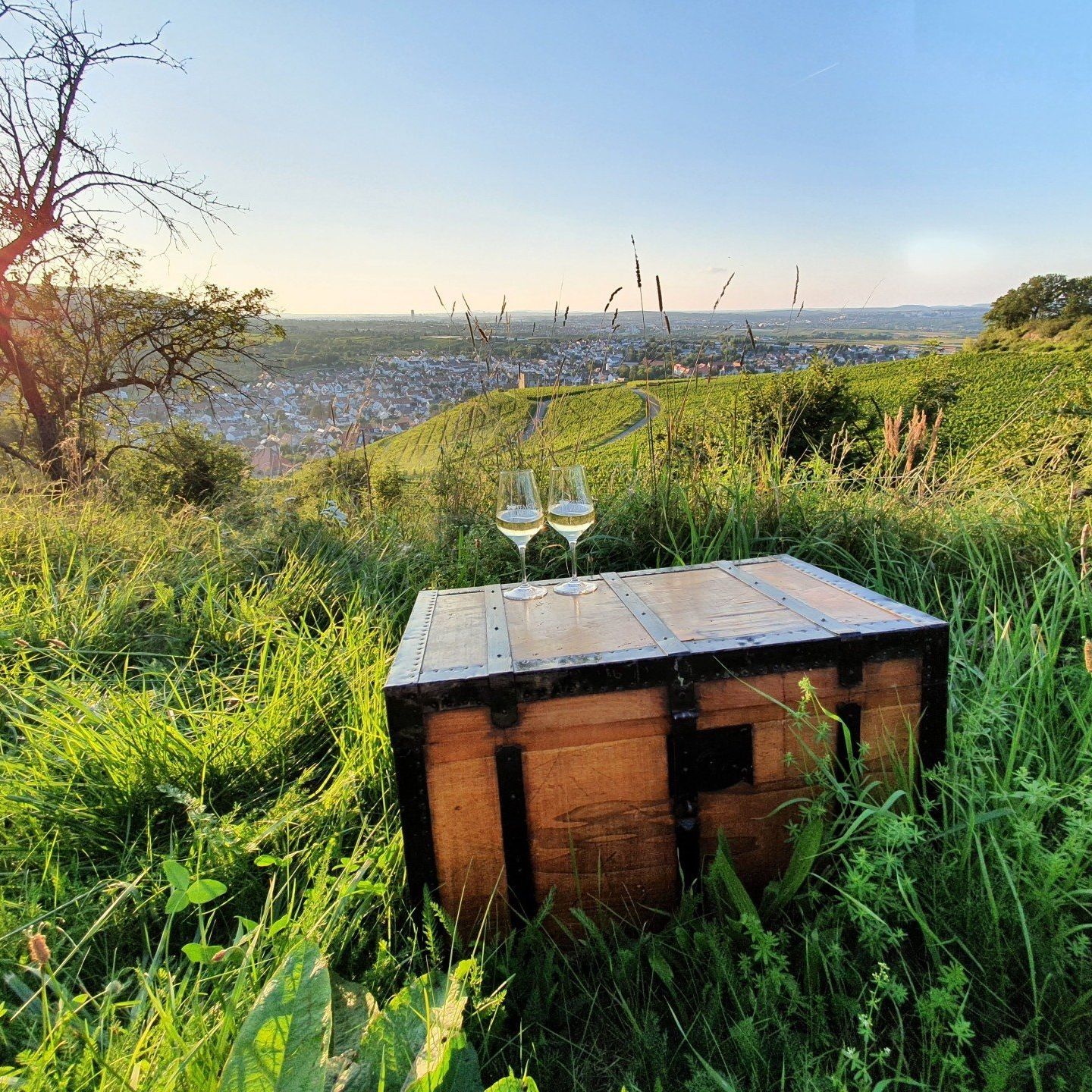 WeinSchatzSuche in Stetten im Remstal WeinSchatzSuche