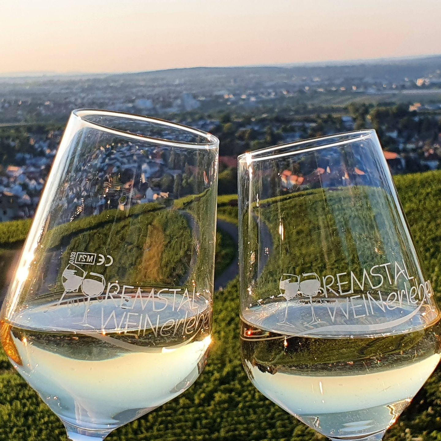 Weinprobe bei den Reben Weinprobe bei den Reben