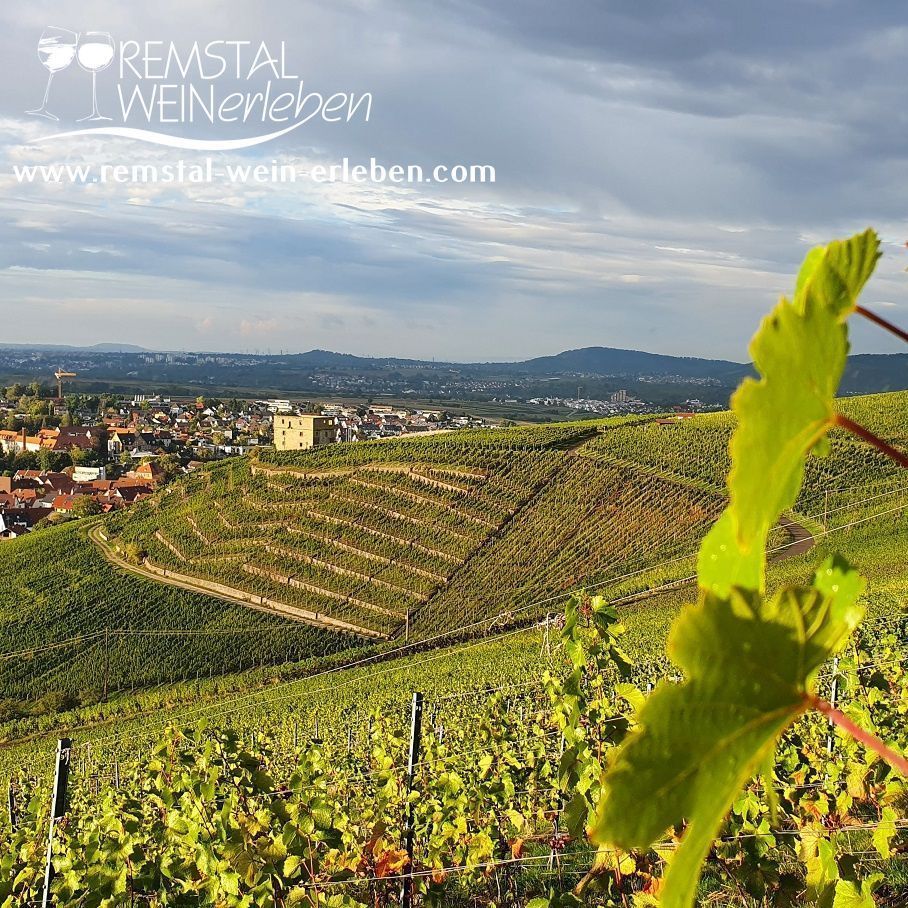 Y-Burg, Stetten im Remstal Weinberge und Y- Burg, Stetten im Remstal