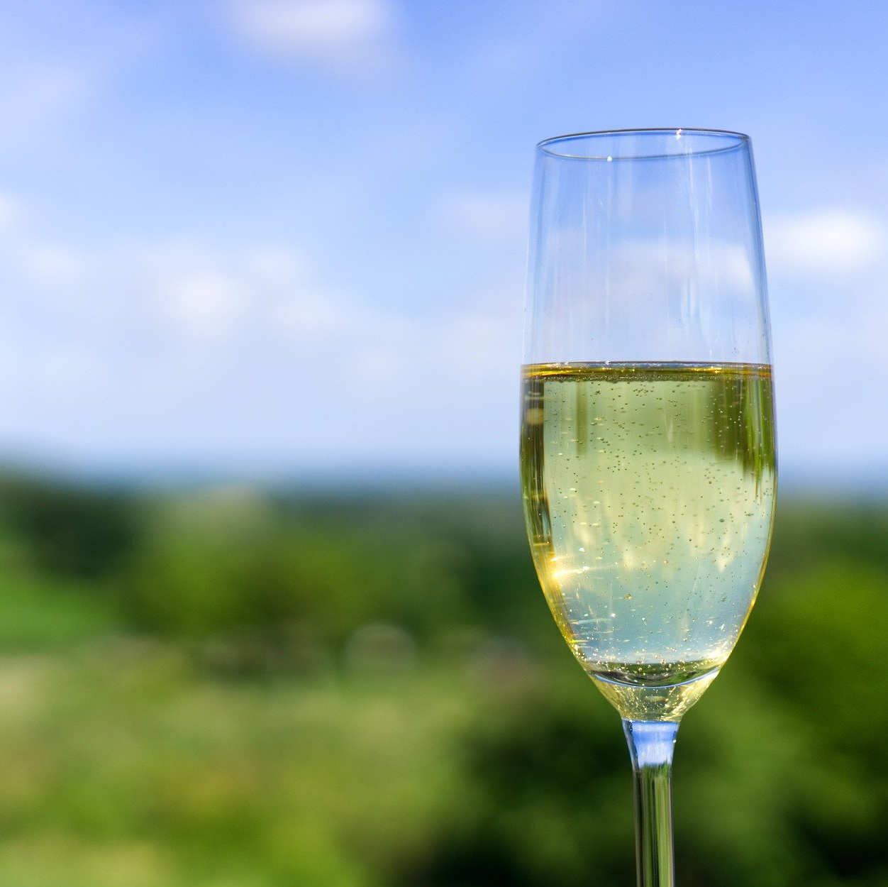 Ein Glas Sekt gehört zu jedem festlichen Anlass Secco  und Sekt