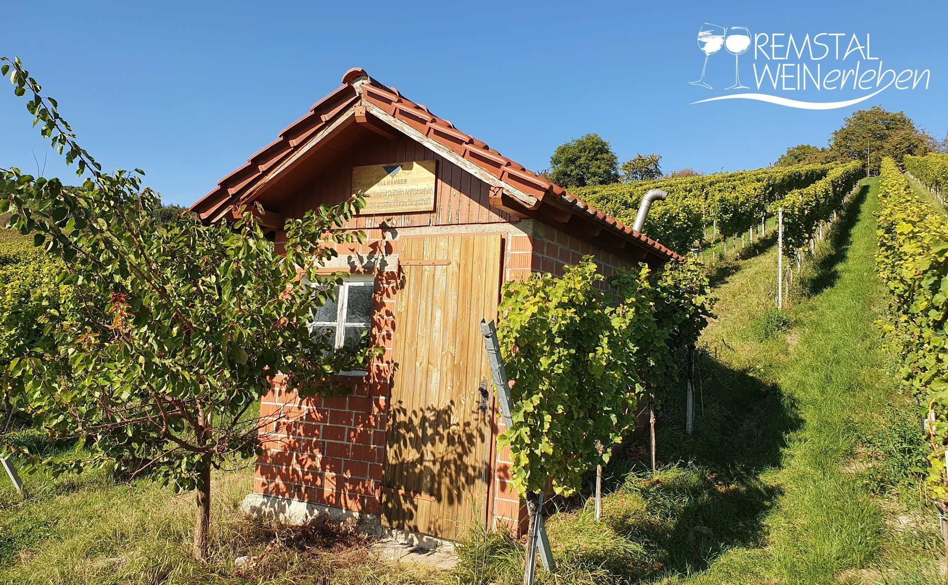 WeinSchatzkammer