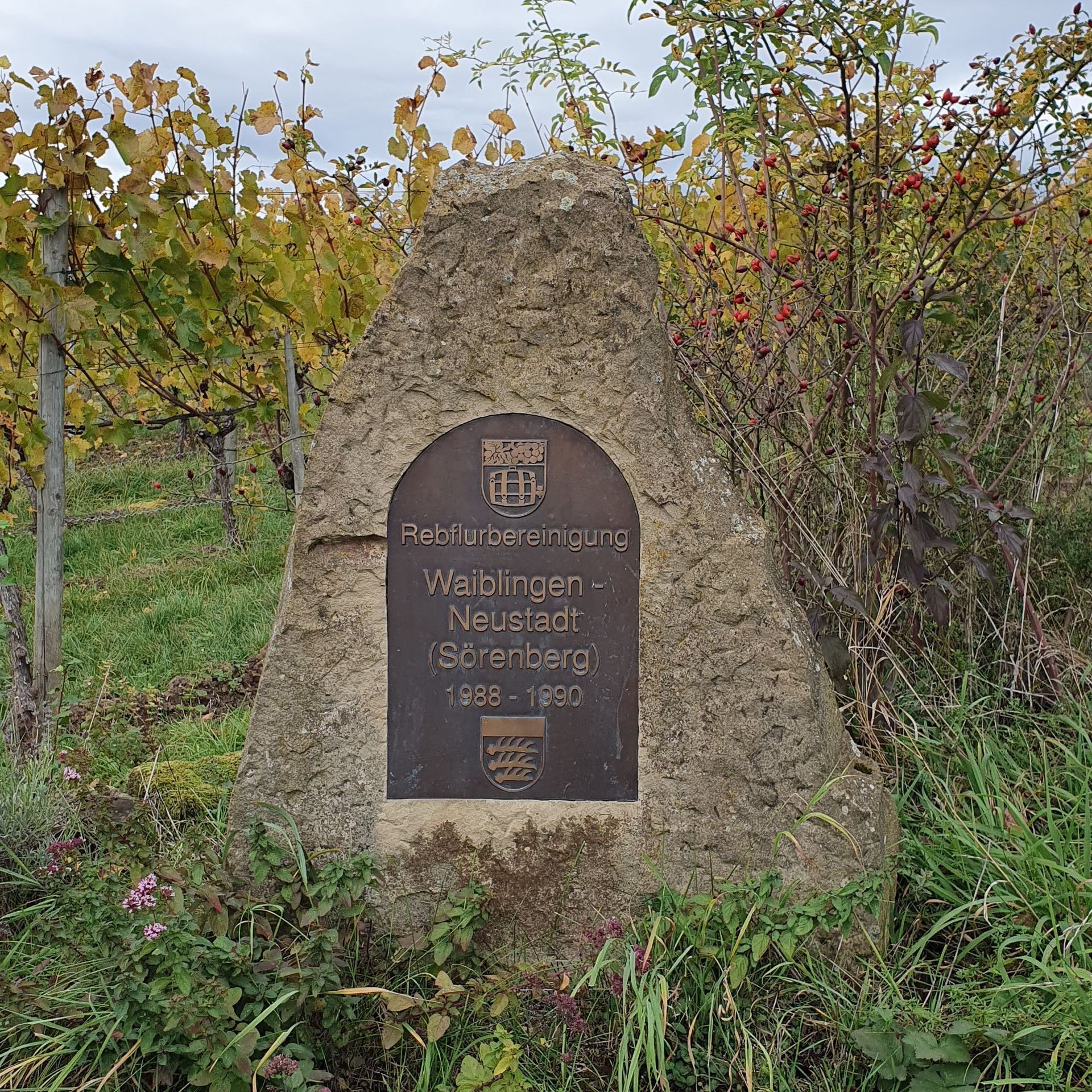 Rebflurbereinigung  WeinSchatz am Söhrenberg