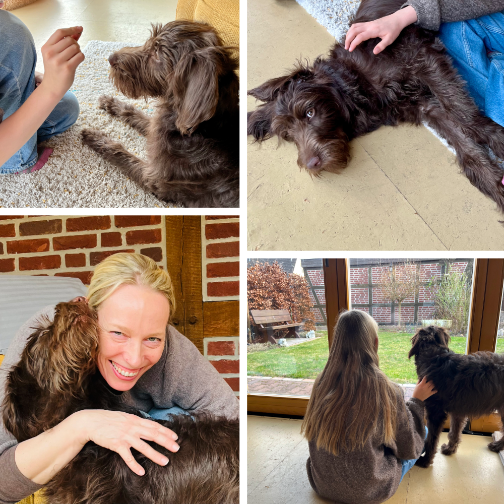 Lola, unser Coachinghund Lola, unser Coachinghund