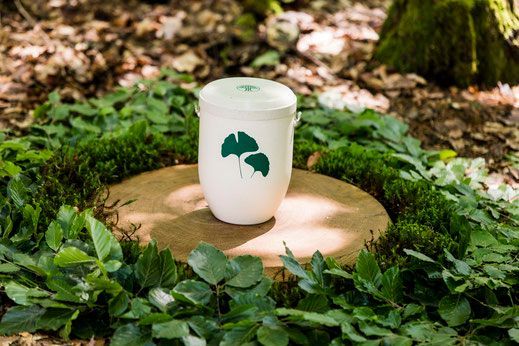 Waldbestattungen, Bestattungshaus Unendlichkeit - Ihr Bestatter im Raum Köln, Bensberg, Leverkusen, Bergisch Gladbach, Moitzfeld