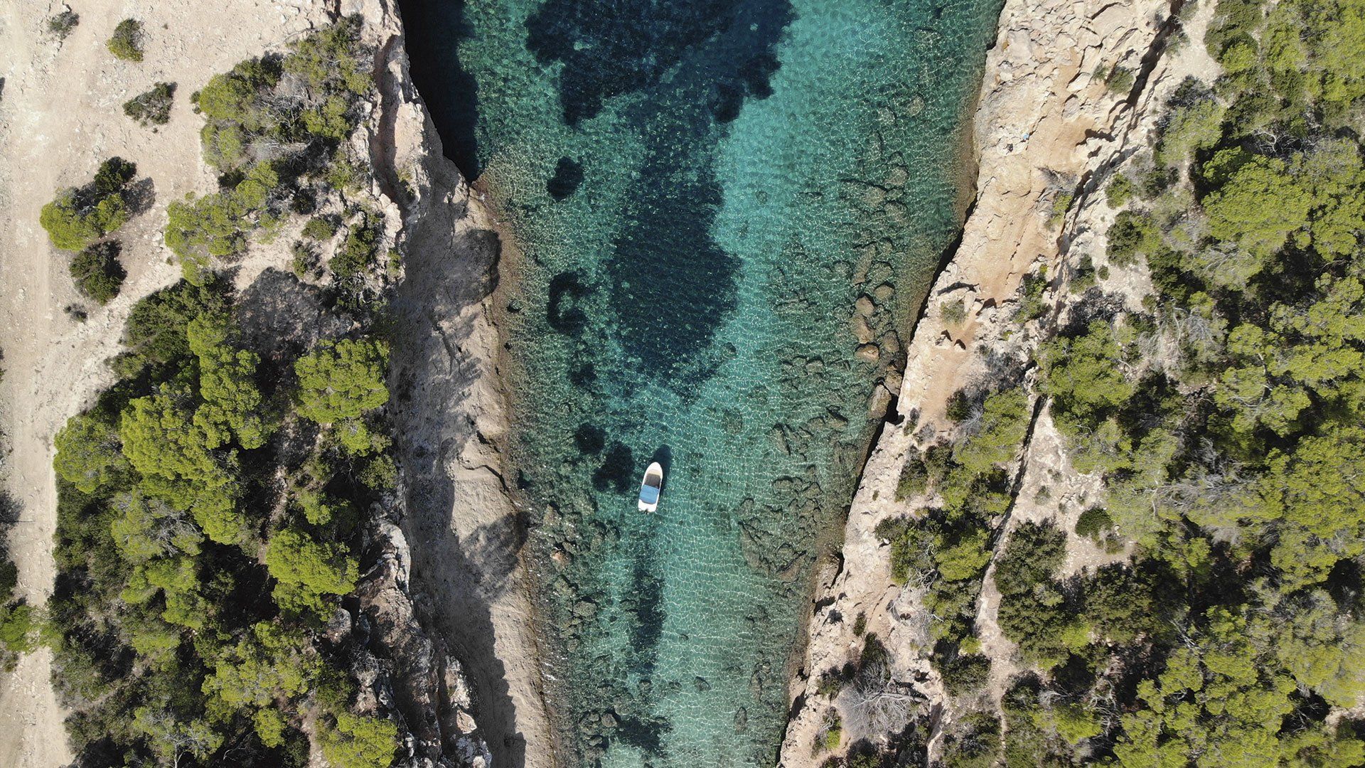 Cala Bassa Alquiler barco Ibiza