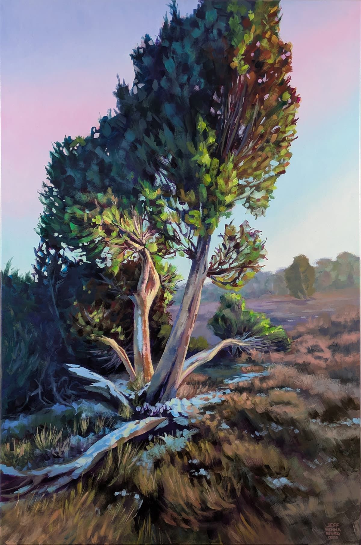 Vertikales Gemälde eines Wacholderbaums im Büsenbachtal während der Schneeschmelze vor einer Heidelandschaft unter zartrosa Abendhimmel.