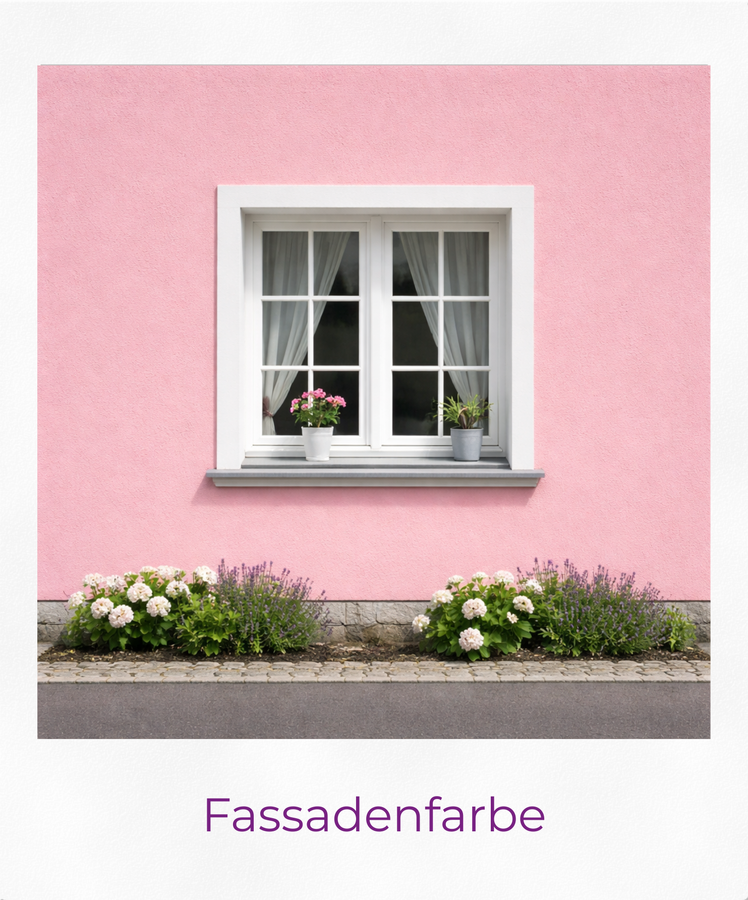 Produktgrafik Fassadenfarbe als Polaroid