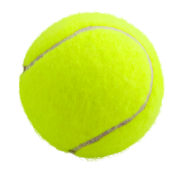 Woodford Membership Application/ Waiver