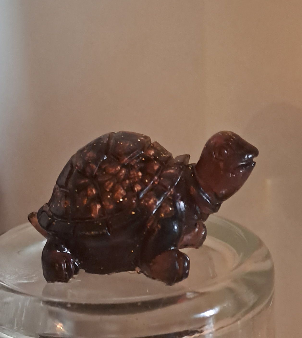 tortue Œil de tigre pour la protection
