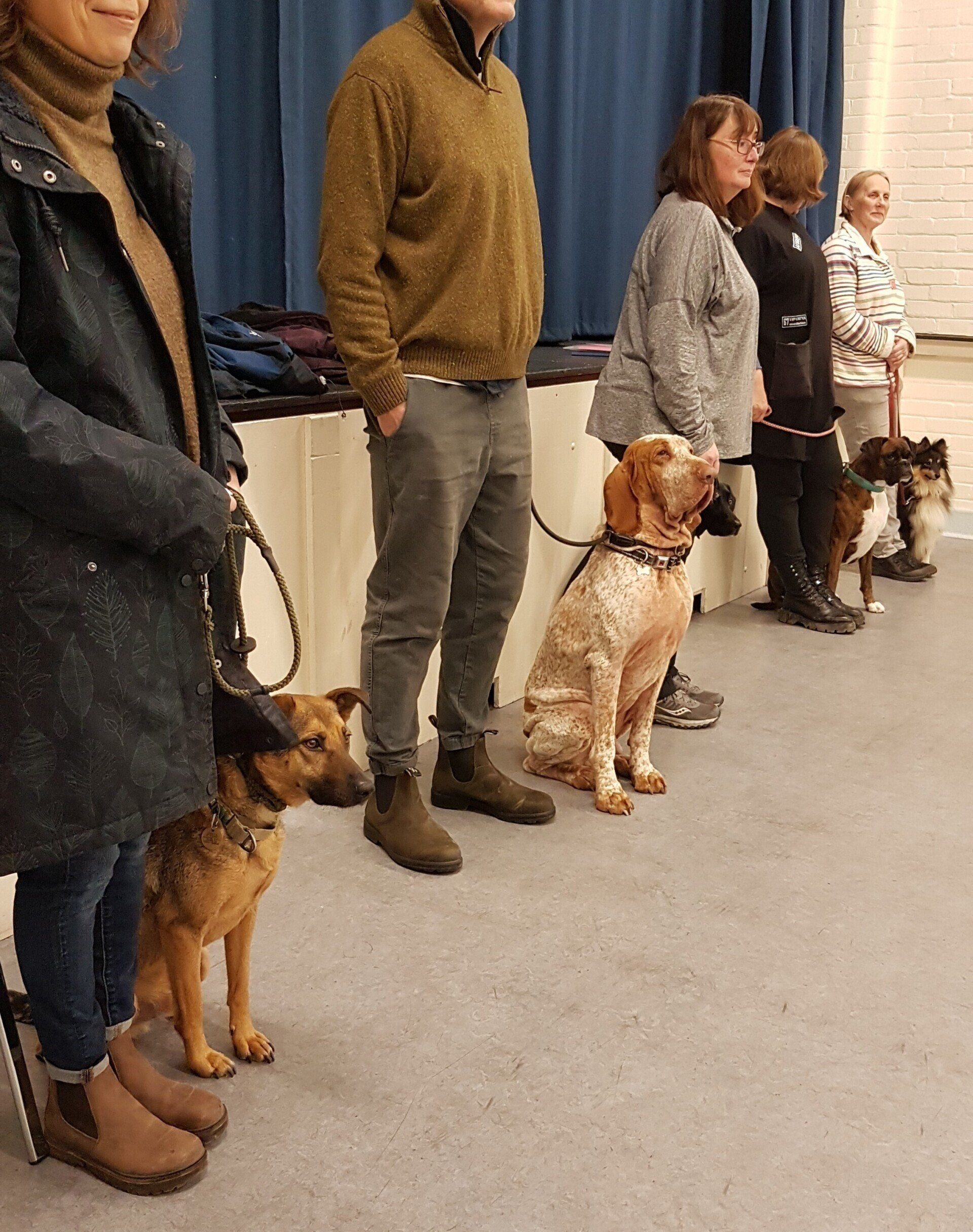 Attention to training