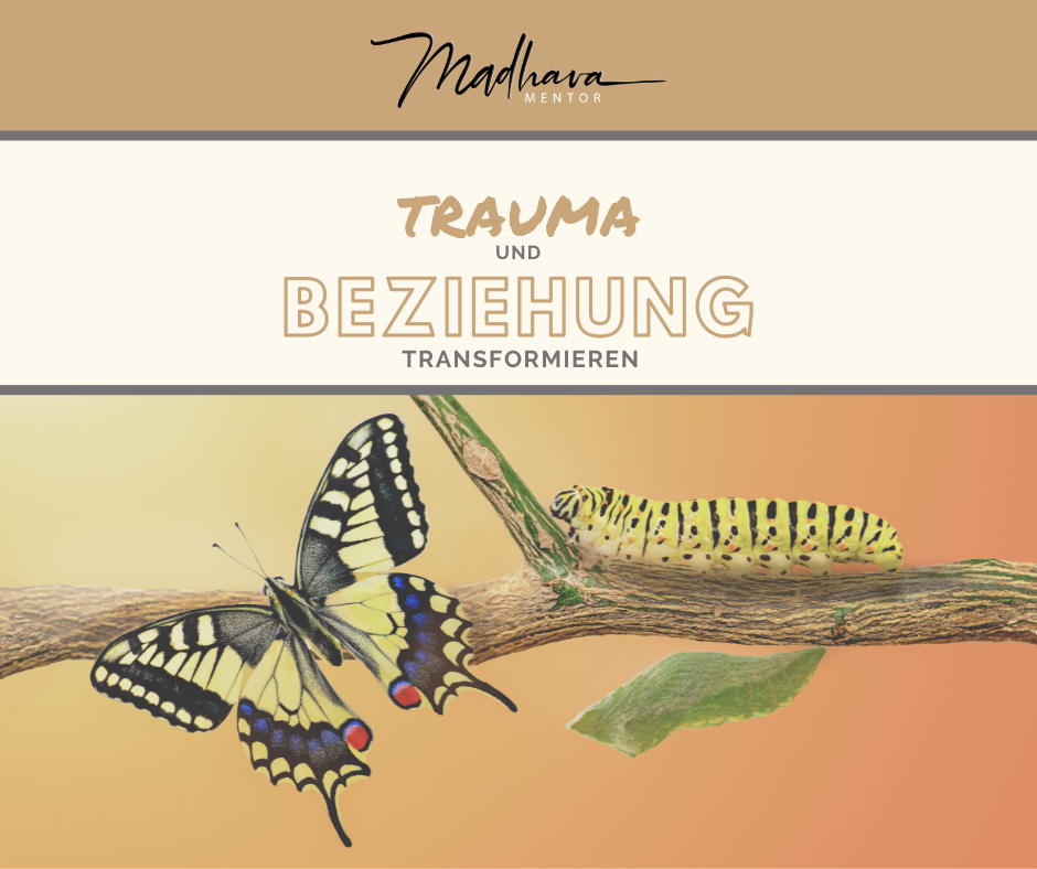 Trauma und Bindung