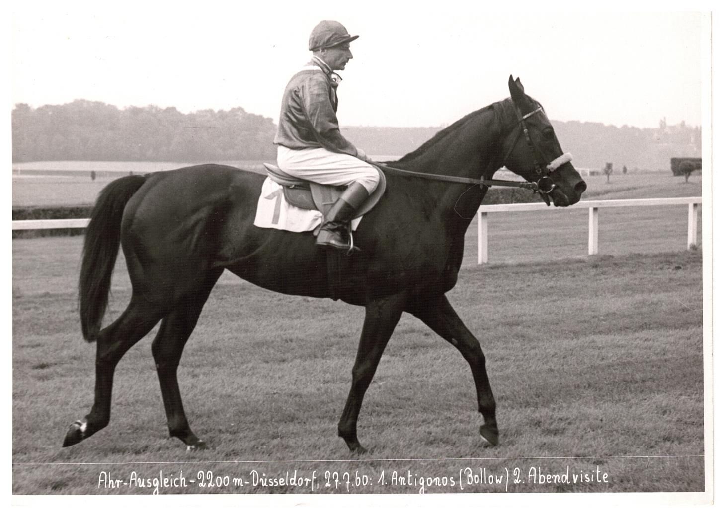 Antigonos Siegerfoto