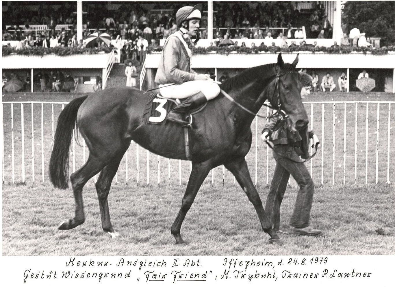 Fairfriend Siegerfoto