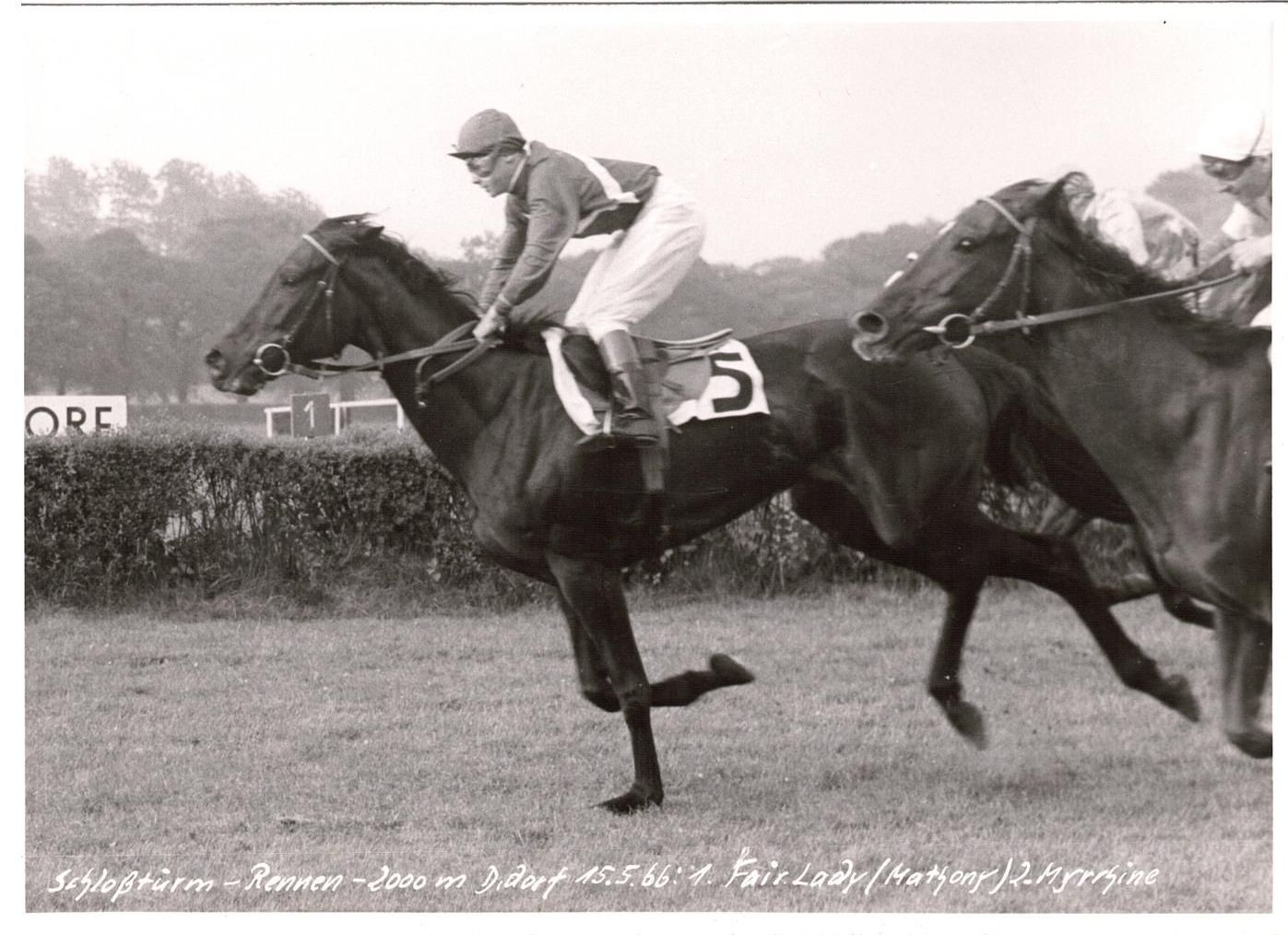 Fair Lady Siegerfoto