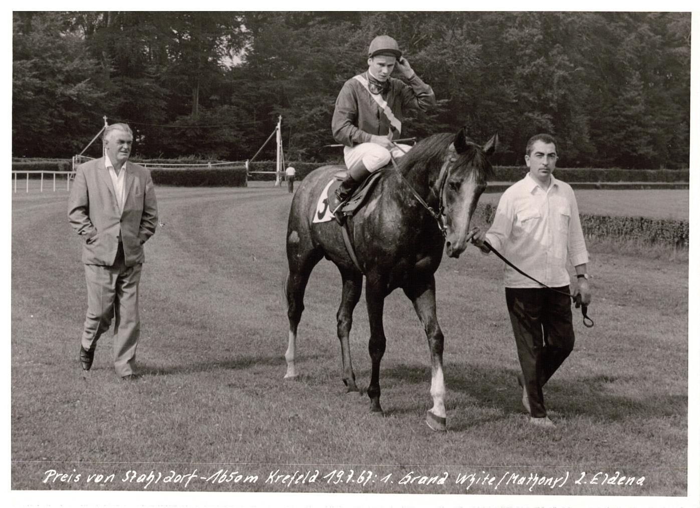 Grand White Siegerfoto