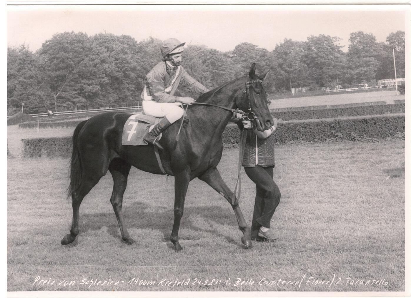 Belle Comtesse Siegerfoto