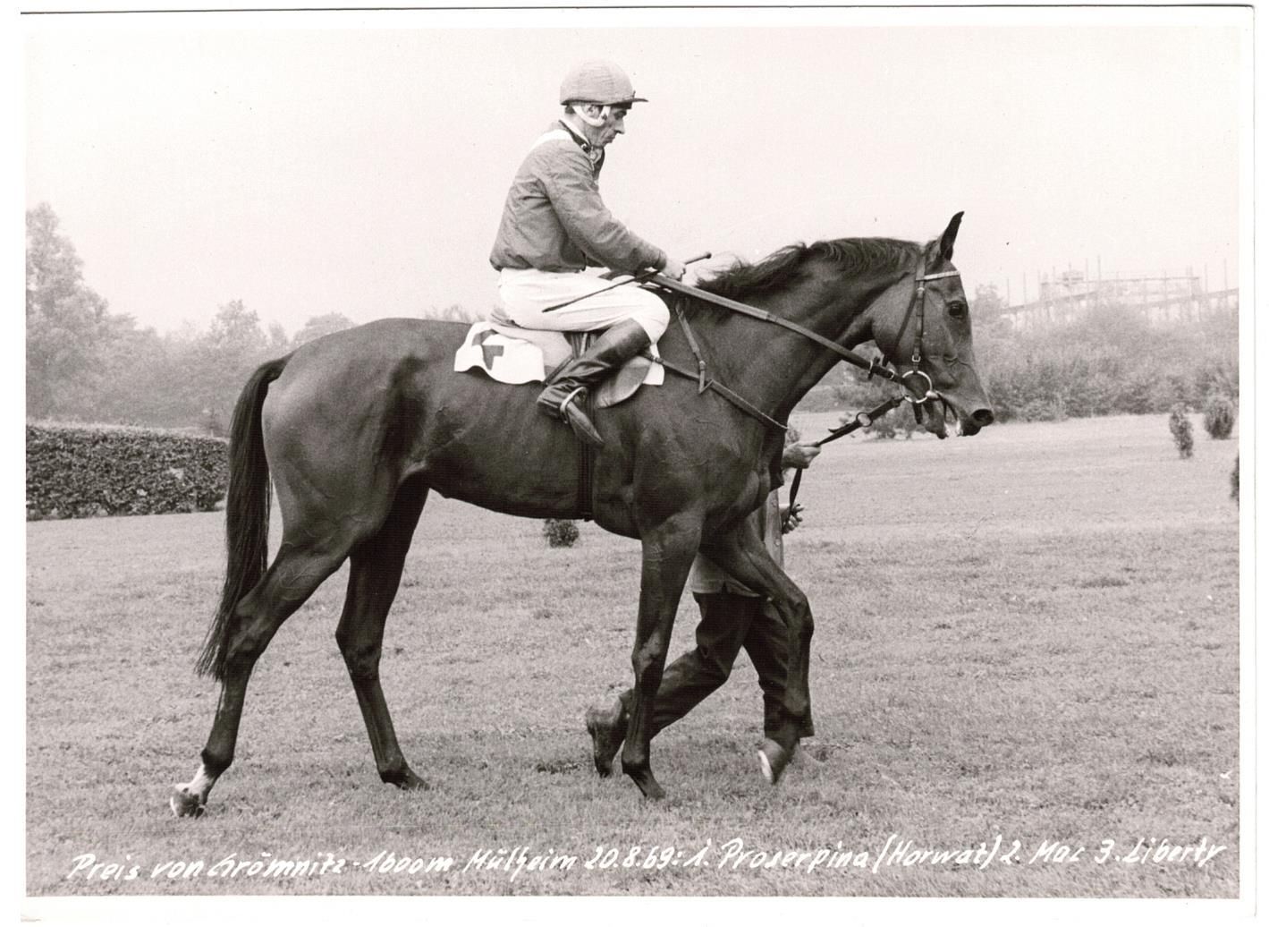 Proserpina Siegerfoto