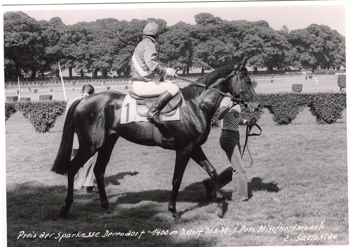 Potz Blitz Siegerfoto