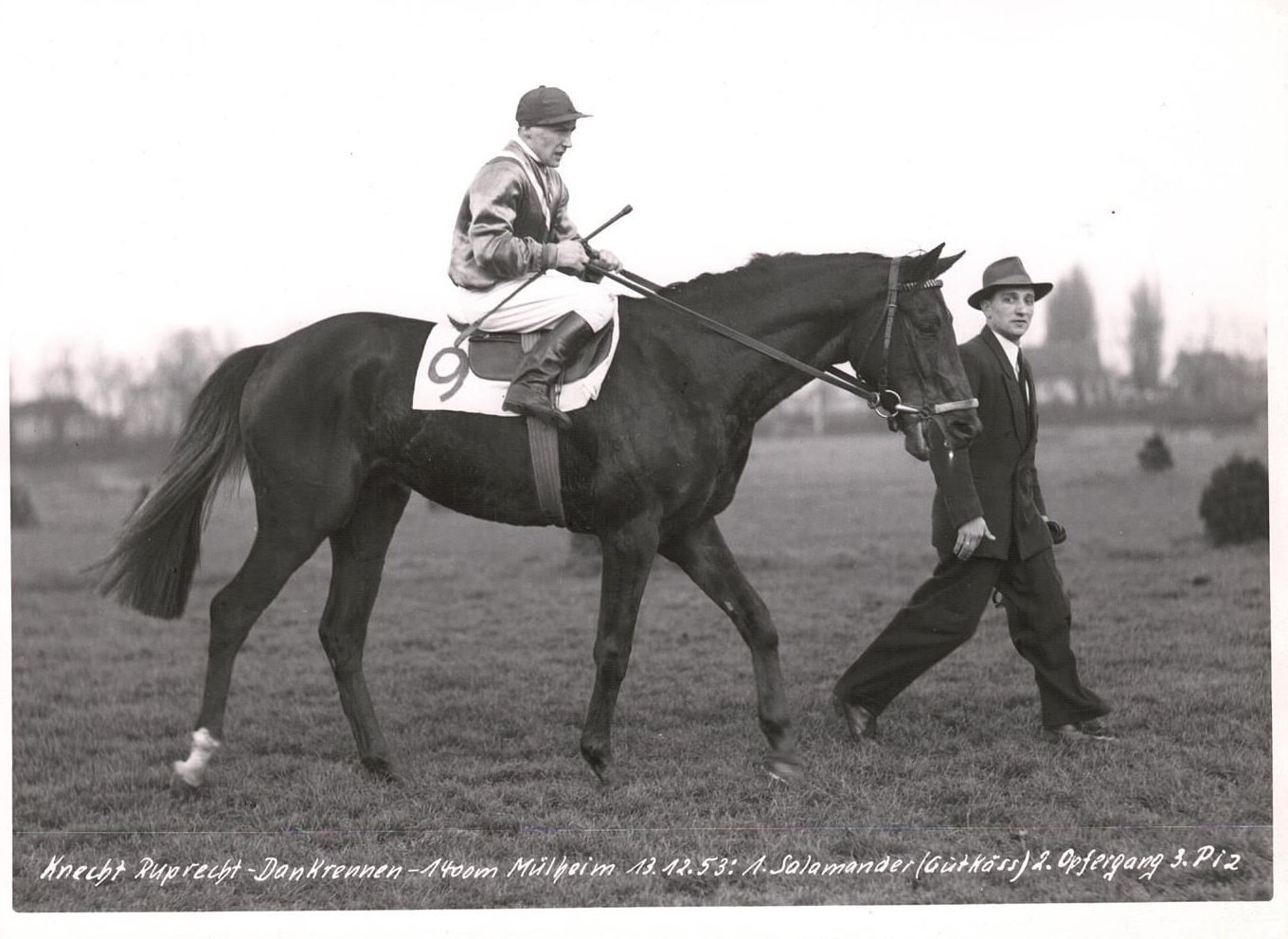 Salamander Siegerfoto