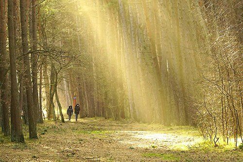 Ressourcen-Training – Kraftquellen gezielt aktivieren Ressourcen-Training – Kraftquellen gezielt aktivieren
