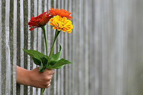 Wertschätzung wirkt Wunder Wertschätzung wirkt Wunder