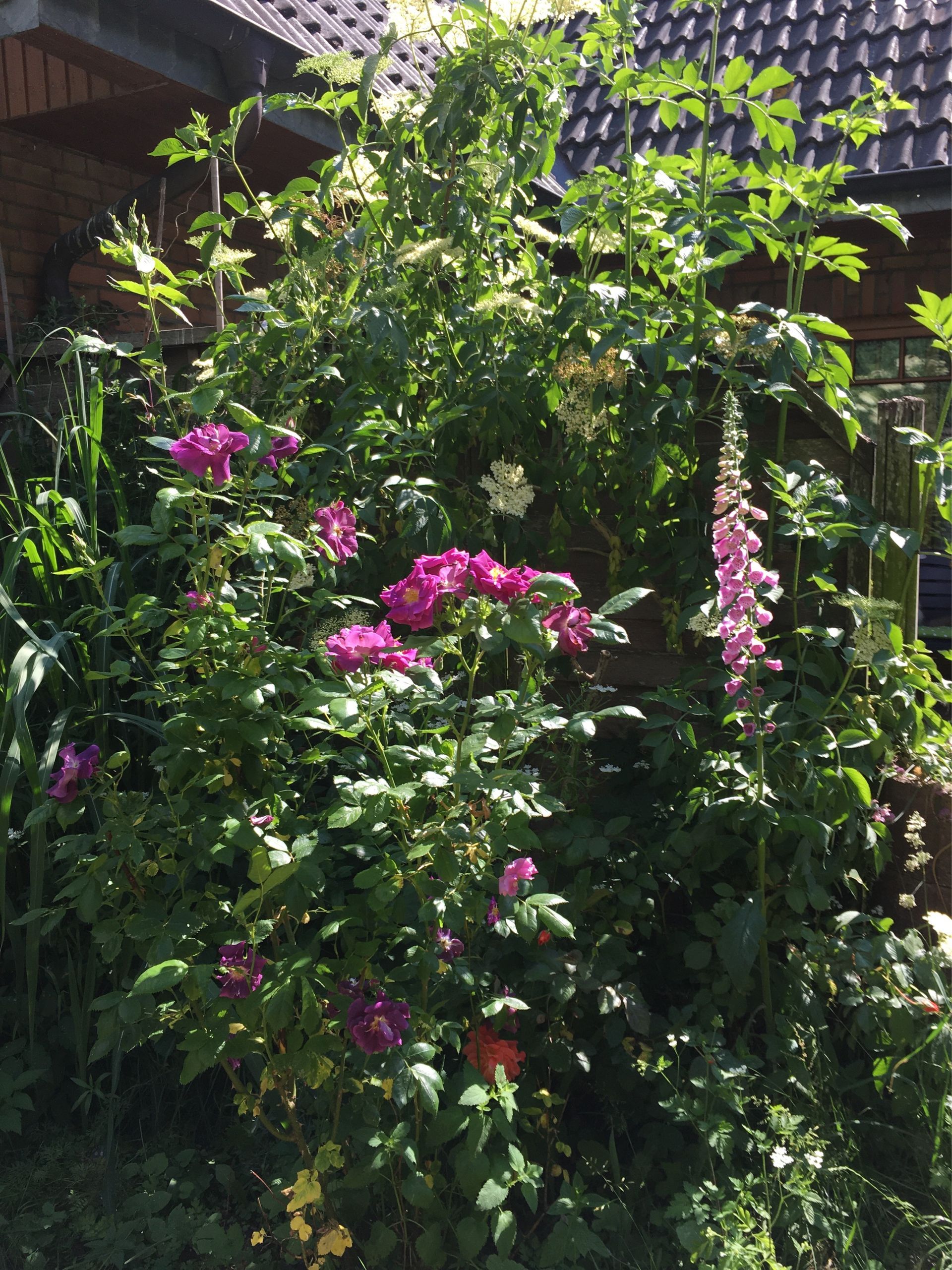 Berkana Aromaklangraum